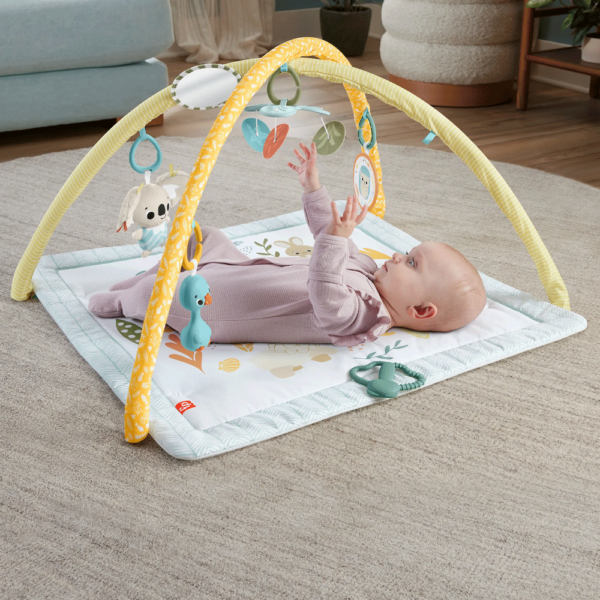 Ginásio Fisher-Price Desperta os Sentidos Autobrinca Online